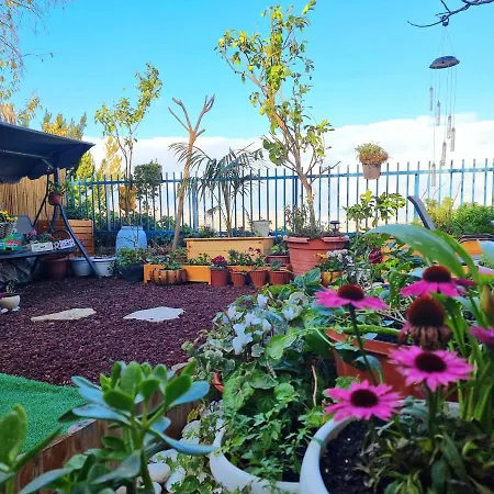 Pleasant Cozy Sunny Room With Garden-3