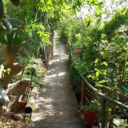 View Of The Valley Guest House-3